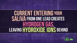 Why Do Batteries Taste Sour? Instructional Video