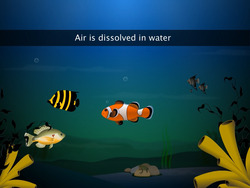 Oxygen and Carbon Dioxide Instructional Video