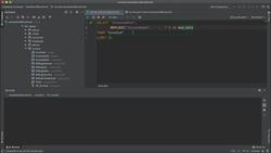 Job-Ready SQL in an Afternoon - String Replacements Instructional Video