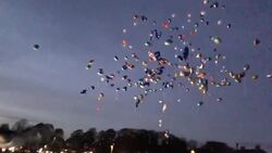 Friends and family pay tribute to fifteen-year-old schoolboy Alfie Lewis Instructional Video