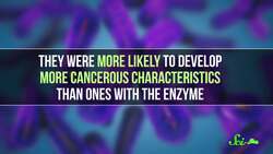 A Cancer Gene May Be More Friendly Than We Thought | SciShow News Instructional Video