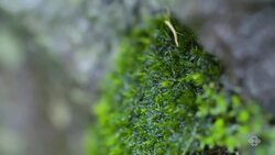 Wild Hot Springs Instructional Video