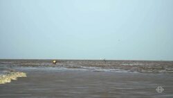 Monkey Island Instructional Video