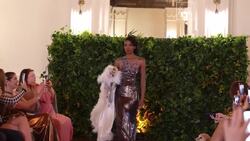 Who Let the Dogs Serve? Glamorous canines dress to impress at New York's "Pet Gala" News Clip