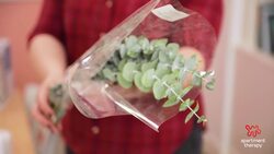 How to Fake a Fancy Dinner Party Instructional Video