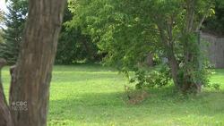 Winnipeg sites for new supportive housing leave some neighbours concerned News Clip