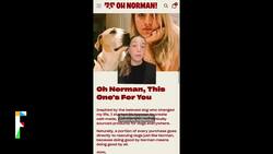 ‘Big Bang Theory’ star Kaley Cuoco raises $3 million to build ‘the Honest Company for pets’ News Clip