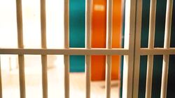 prison, prison cell bars and prison door, escape from prison, bank vault and deposit box Stock Footage