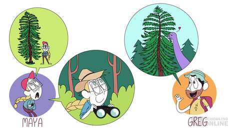 Science for Kids: Stage 1 - The Dinosaur Tree