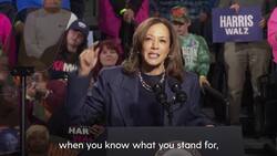 Kamala Harris and Donald Trump hold competing rallies News Clip