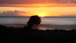 Comparing Biodiversity Instructional Video