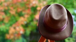 Vintage yellow Mans hat autumn garden hd footage Stock Footage