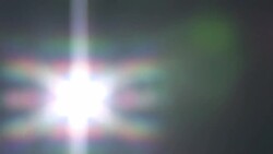 How to Learn the Top Rose Gardening Tips Instructional Video