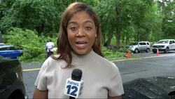 Large tree falls on 2 parked cars on Metcalf Avenue; no injuries News Clip