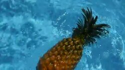 Pineapple Floating In blue Water In Swimming Pool. Healthy Raw Organic Food. Juicy Fruit. Vegetarian, Vegan Nutrition, Vitamins, Diet, summer holidays, vacation concepts. Exotic tropical background Stock Footage