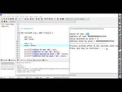 Pointers Instructional Video