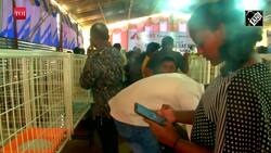 Tamil Nadu: Two-day Pet Carnival begins in Coimbatore News Clip