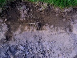 Suelo y rocas: capas de tierra Instructional Video