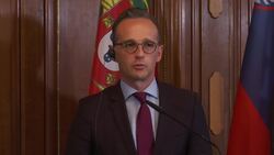 German FM on Austrian politics, populism rise Instructional Video