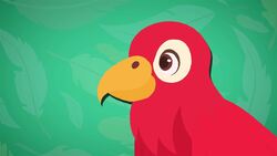 I WONDER - Do Parrots Have Unique Features? Instructional Video