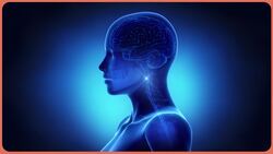 The Science of Opioids Instructional Video