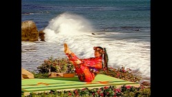 PERFECT PARTNERS Instructional Video