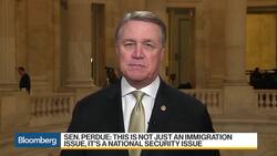 Sen. Perdue Sees Cooler Heads Prevailing on Border Security News Clip