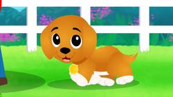 BINGO! A Farm Animal Nursery Rhyme Spelling Song for Kids Instructional Video