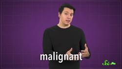 Antlers: The Secret to Deer's Cancer-Fighting Superpowers Instructional Video