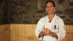 How to Do a Basic Karate Punch Instructional Video