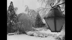1954 Christmas holiday greeting reel in the United States News Clip