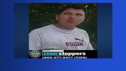 Police: Man wanted for leaving scene of collision on Brooklyn Bridge News Clip