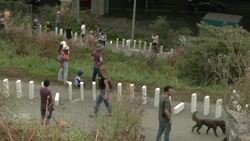 Massive domino installation topples through Toronto Instructional Video