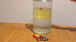 Density Investigation Instructional Video