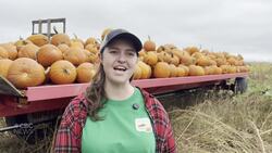 St. Agatha pumpkin farm sees strong yield this season News Clip