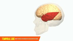 Déjà Vu Instructional Video