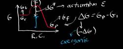 Enzyme Kinetics (Activation Energy and Gibb's Free Energy) Instructional Video