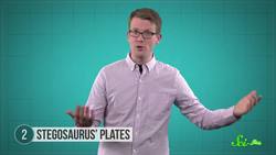 5 Unsolved Mysteries About Dinosaurs Instructional Video