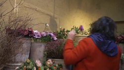 CLEAN : Star French florist weathers pandemic News Clip