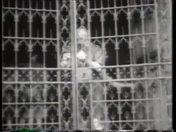 Romanian foreign minister visits London and is received by Lord Halifax. Stock Footage