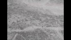 During Korean War, US soldiers in South Korea under fire and advancing against Communist forces News Clip