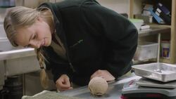 Wake Up in the Morning With This Adorable Baby Armadillo Instructional Video