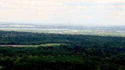 South West London Aerials News Clip