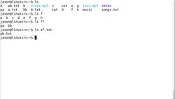 Linux Administration Bootcamp: Go from Beginner to Advanced - Wildcards - Part 2 Instructional Video