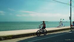 Cancer Survivor Pedals Her Way To Health & Happiness! Instructional Video