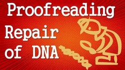 DNA Repair by Proofreading Instructional Video