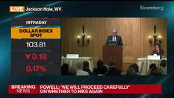 Powell: We Will Keep at It Until the Job Is Done News Clip