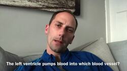 Gcse Pe 5 a day revision vol 15- The heart Instructional Video