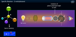 Specific Rotation: Measuring Optical Activity Instructional Video