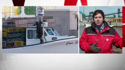 Lobster fishermen must learn how to physically distance on a small boat News Clip